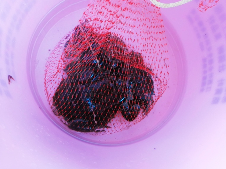 分享4道汤美味营养千万别错过,这个汤既营养又鲜香