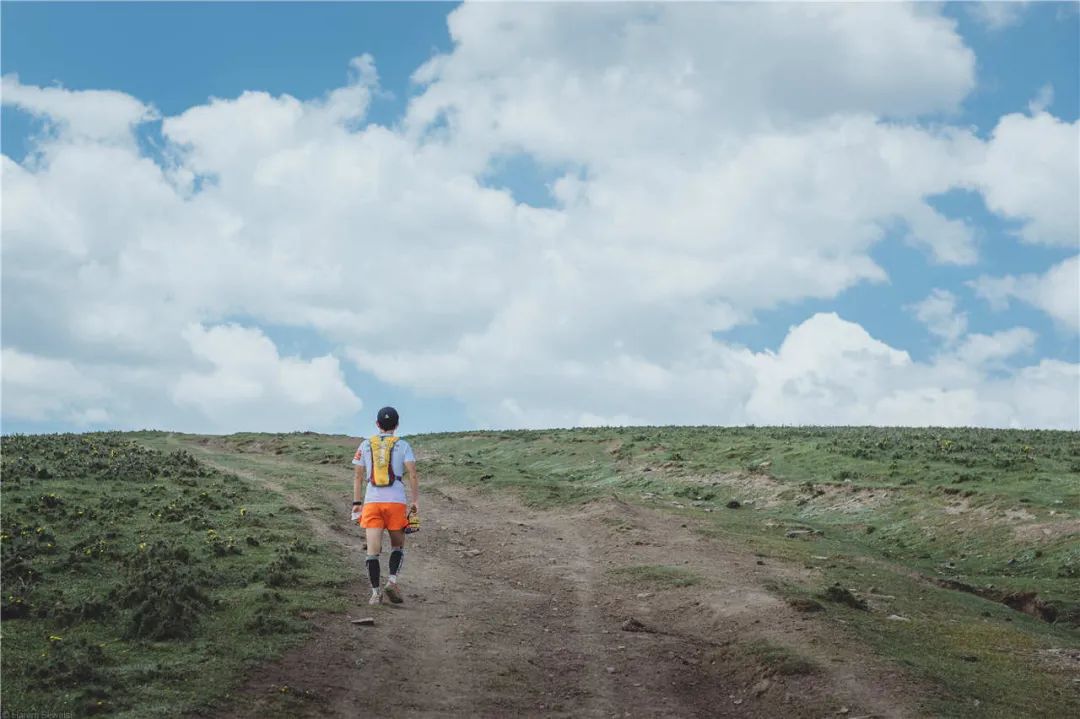 西北望射天狼深度解析,西北望射天狼霸气吗