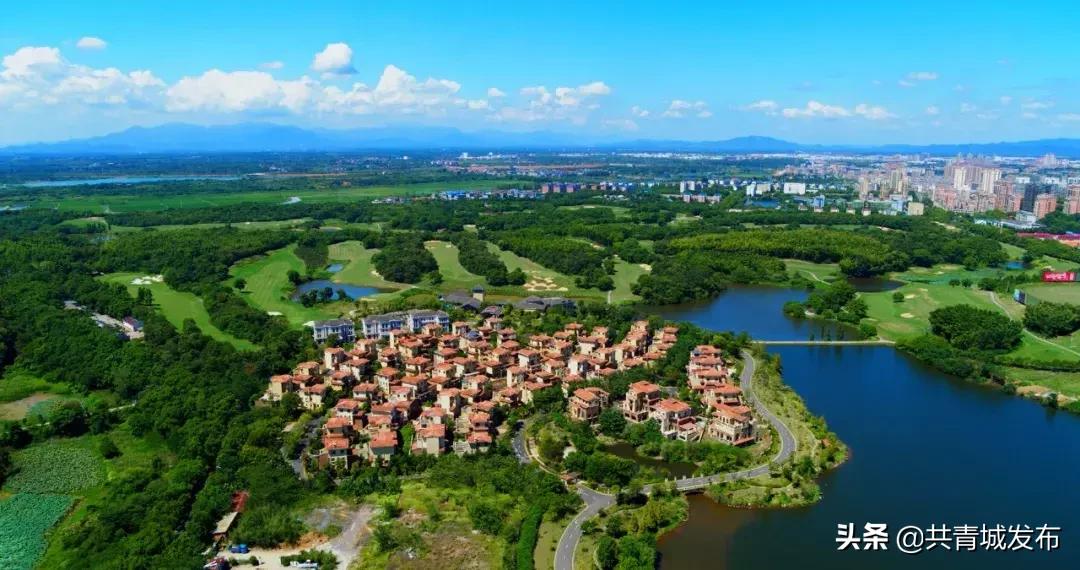 从a到z的成长,从a到z爱上茶的理由