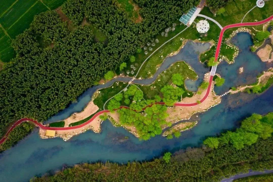 2019年杭州最美绿道,余杭街道苕溪北岸绿道