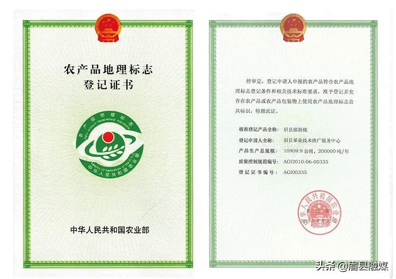 眉县猕猴桃分拣招聘,眉县猕猴桃园区招聘