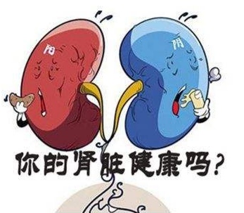 最凶险的肾病是真的吗,肾病界的四大谣言