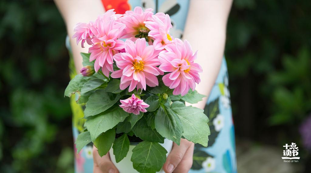 不躁不急不喜不悲不忧不扰,生活不离不弃