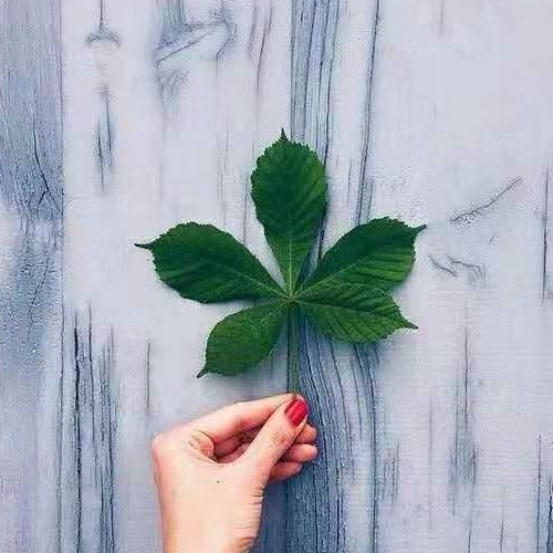 哥们娶了前女友,哥们娶了我前女友