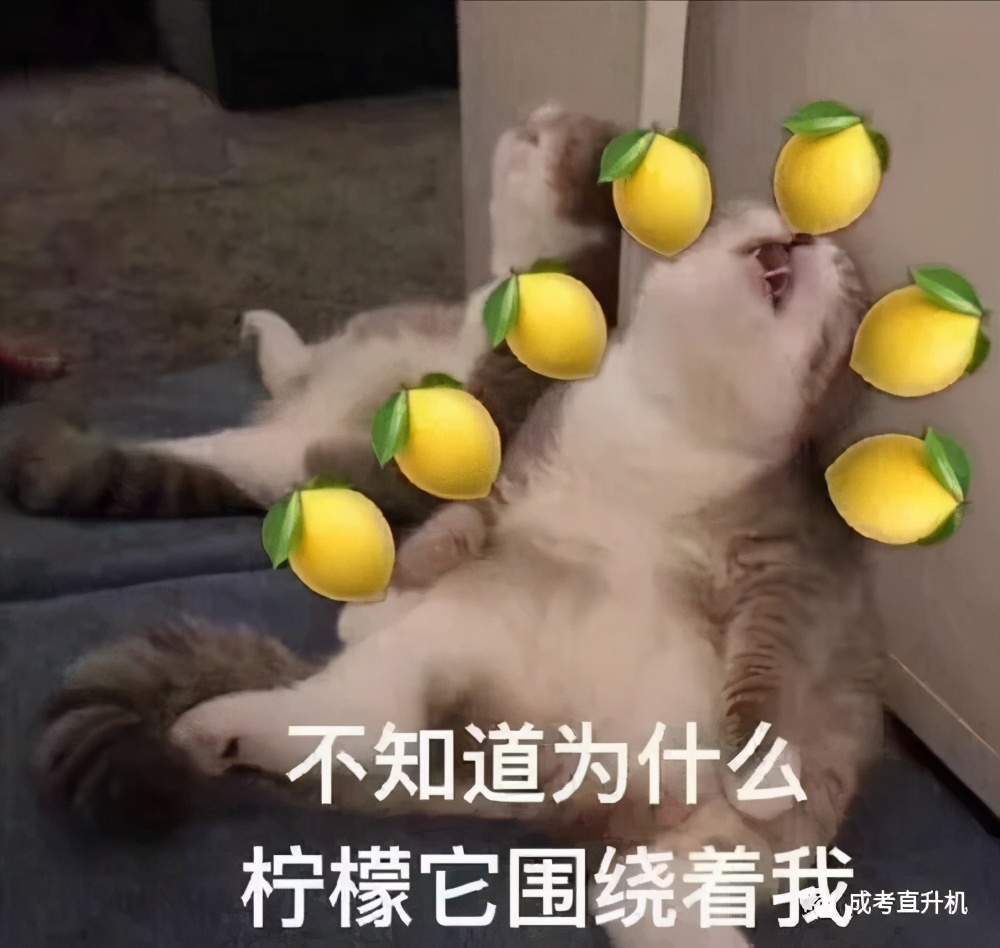 凡尔赛文学小段,最近很火的凡尔赛文学到底是个啥