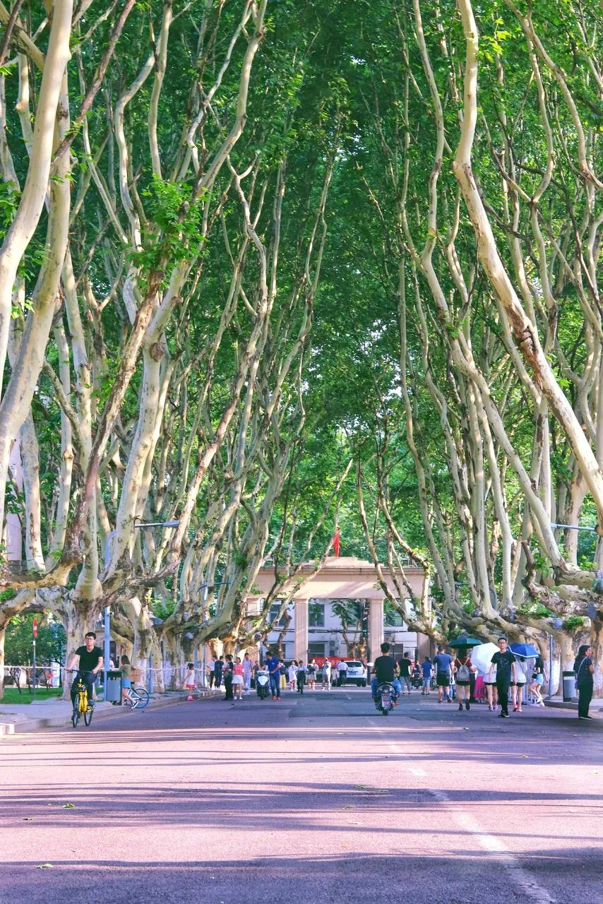 南京天空之镜高清图,中国五大惊艳世界的城市