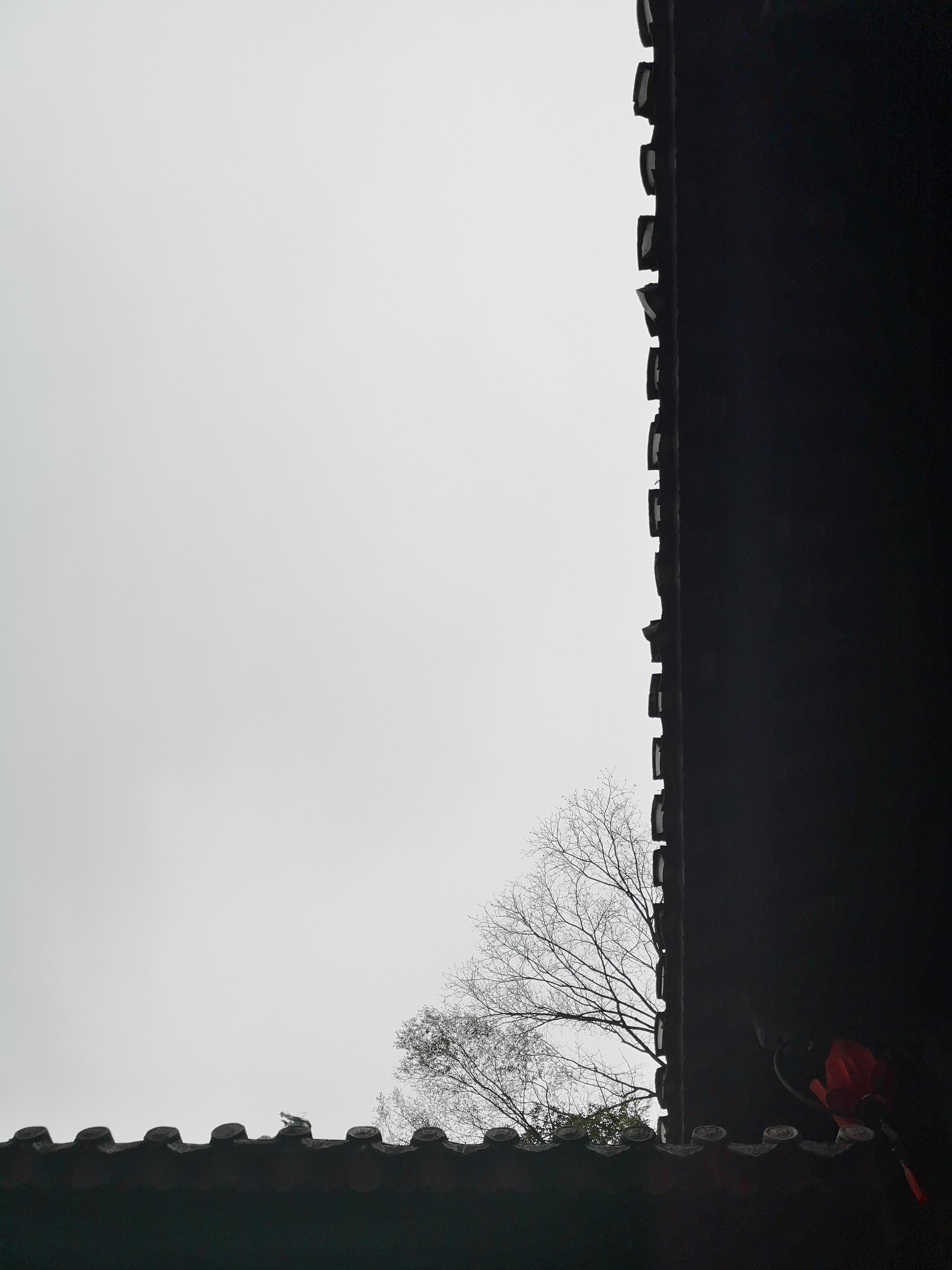 贵州的织金洞旅游攻略,贵州织金洞旅游自由行攻略