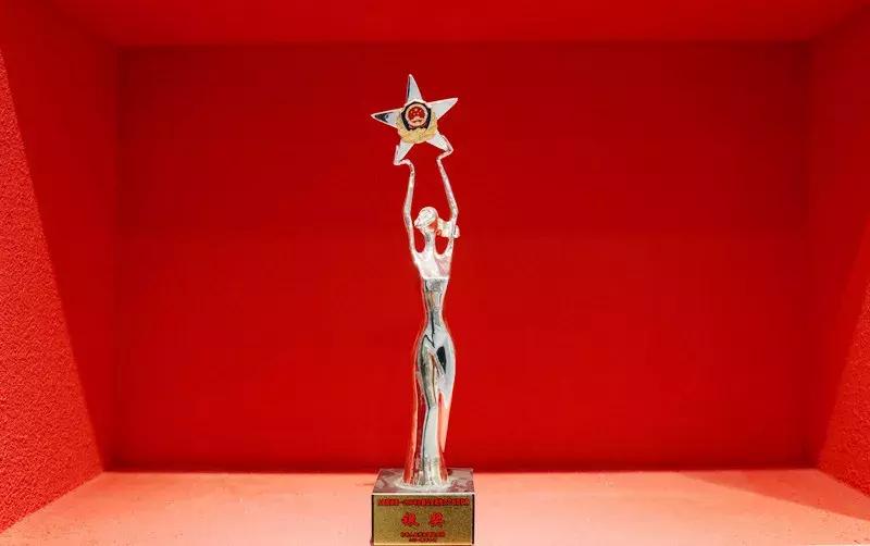 “回眸·40年”林芝公安大家庭的改革开放之荣誉篇(四)