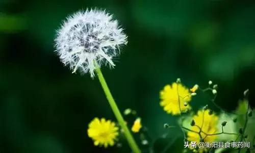 衡阳市食品安全监管局,衡阳县食品安全监管