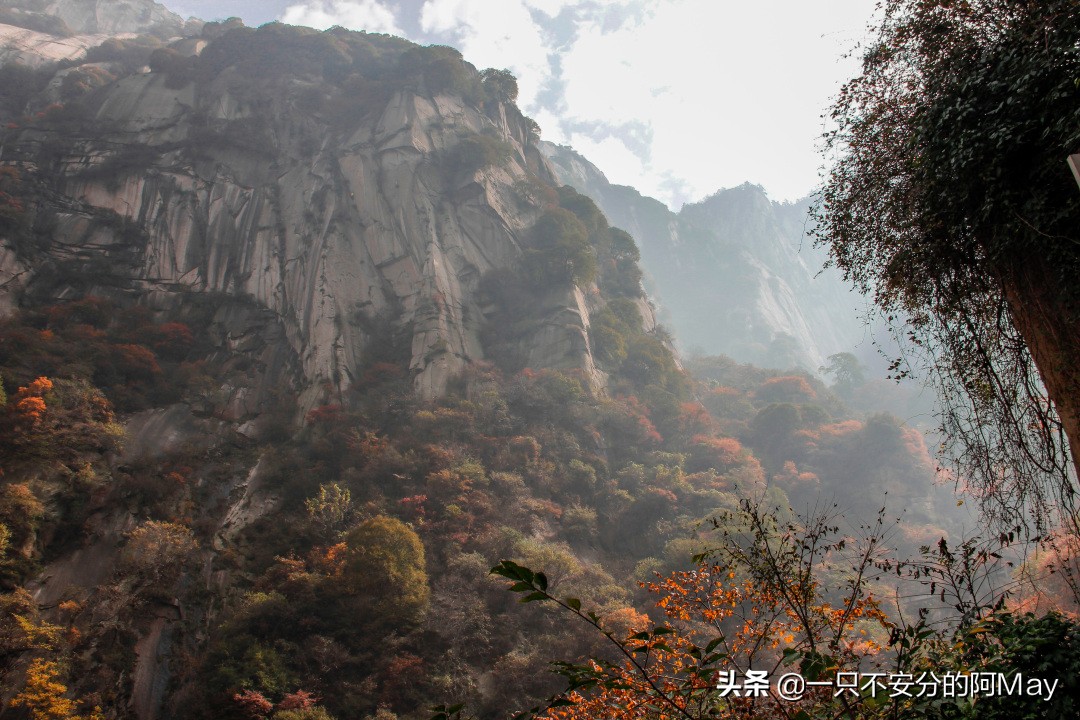 为什么爬华山都是夜爬,华山自古一条道很有必要爬吗