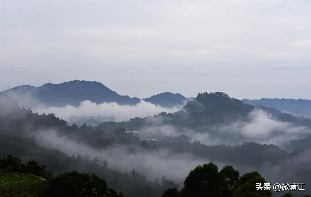 我在朝阳湖等你，带你看一路绿水青山