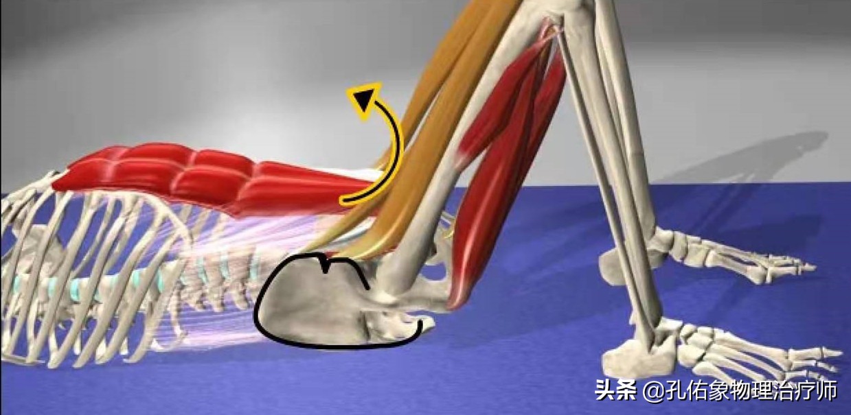 为什么弯腰之后就起不来,为什么弯腰起来特别不舒服