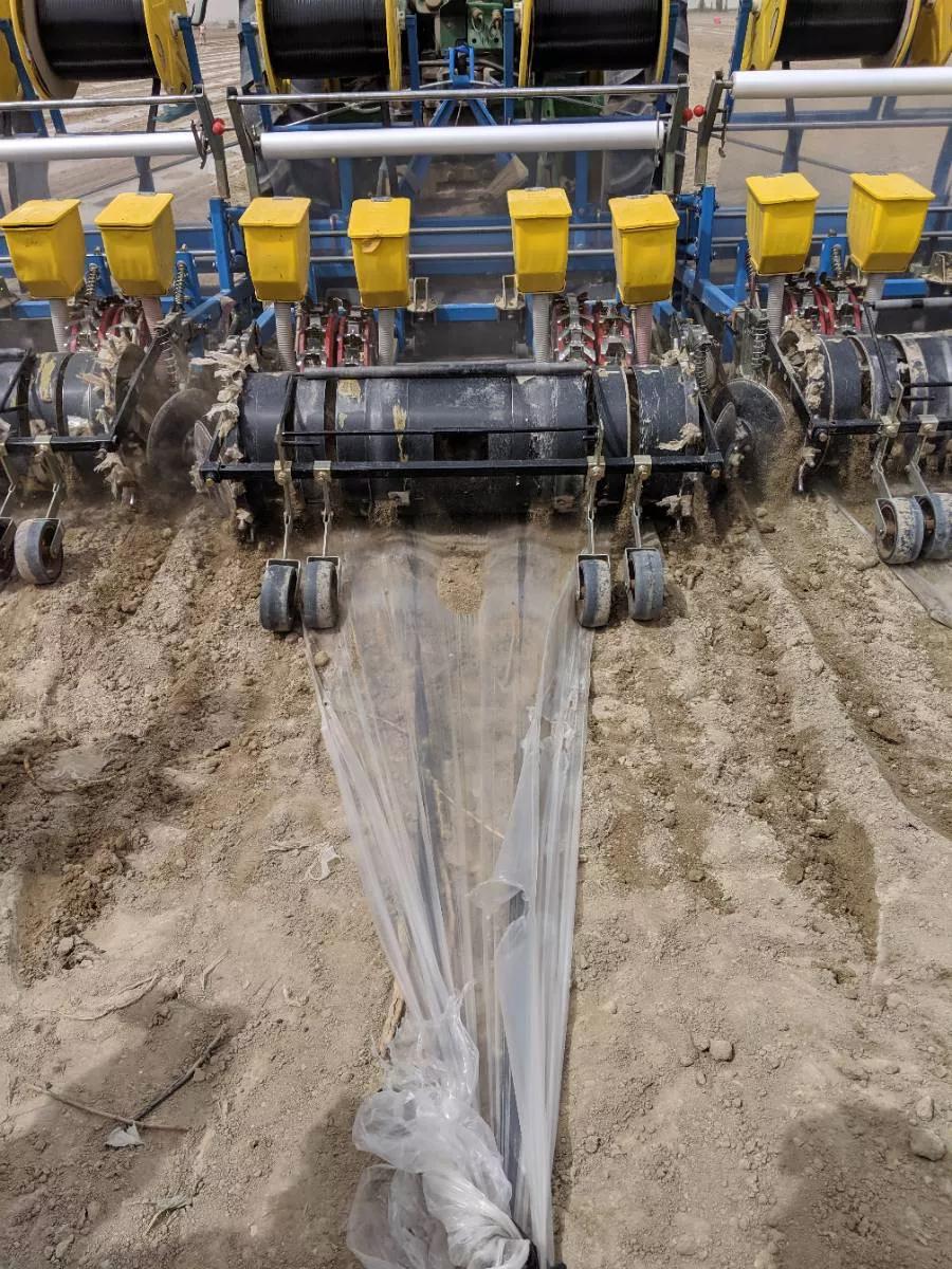 棉田里的边缘战事