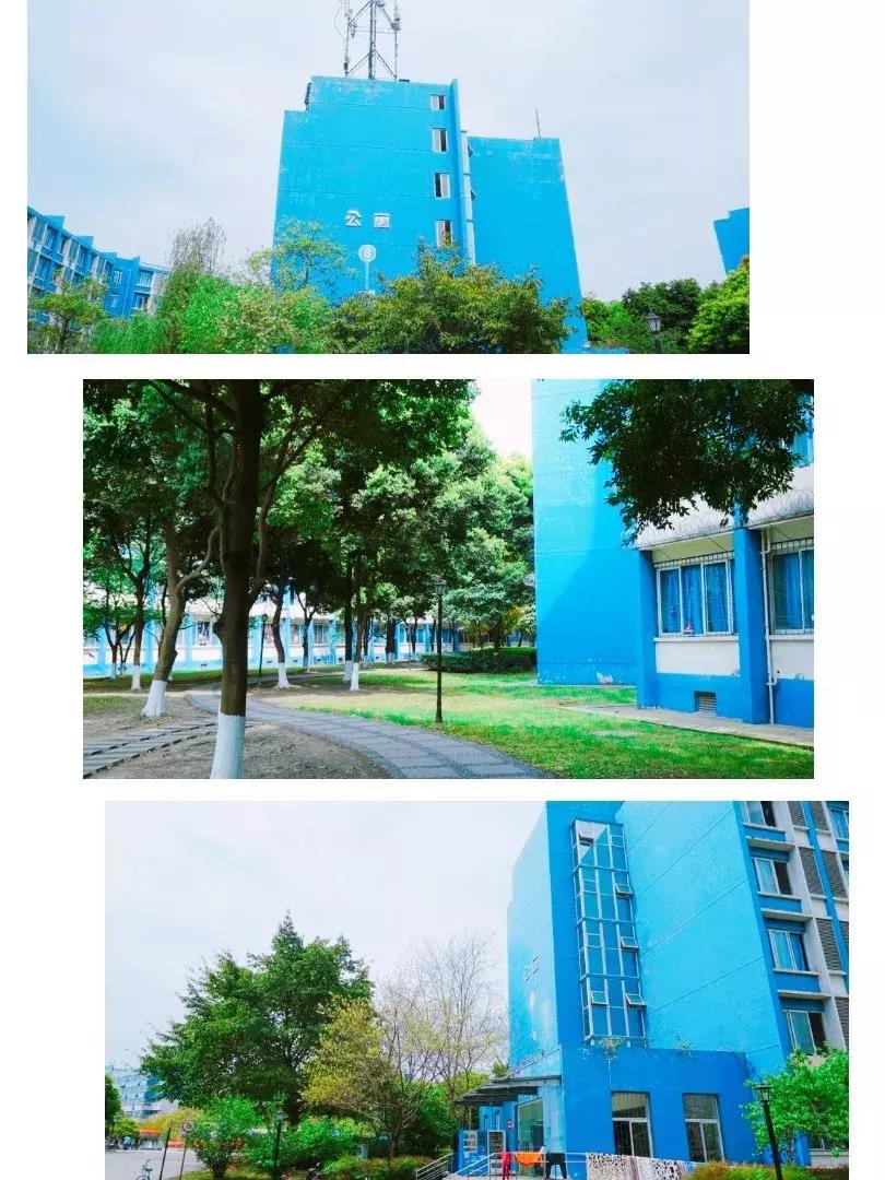 我的青春,叫电子科大成都学院!