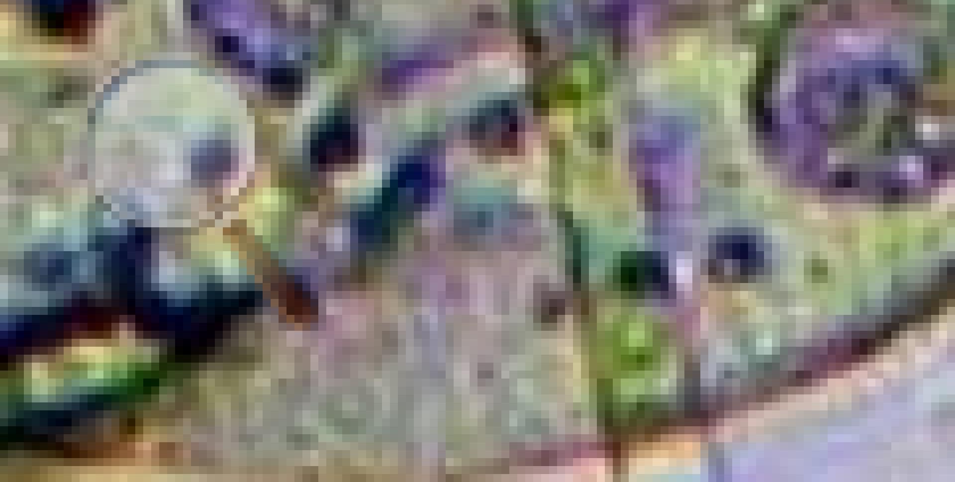 怎么搞电脑自带放大镜,电脑可以固定的放大镜