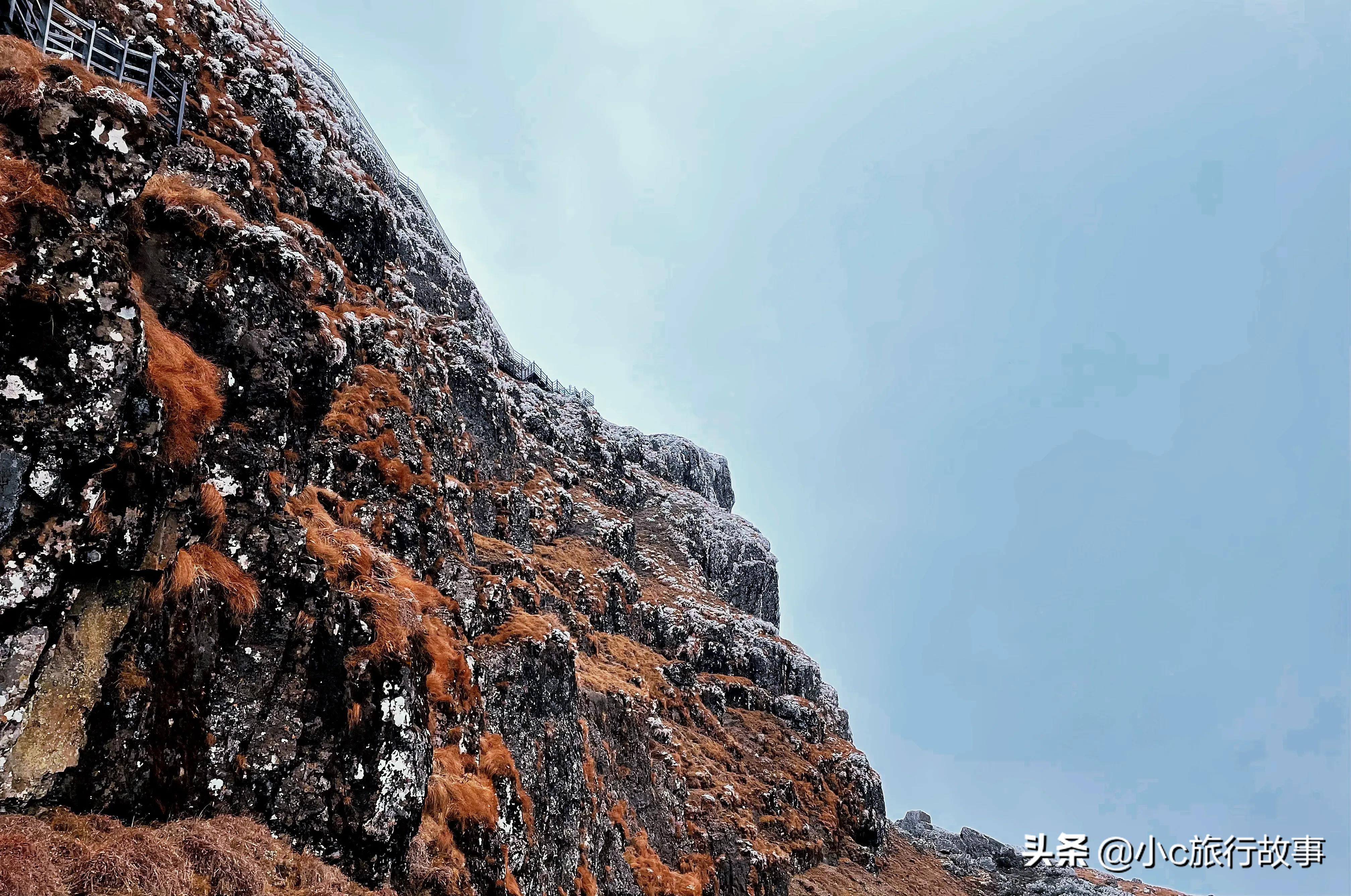 昆明轿子雪山景点春节开放吗,昆明附近旅游景点推荐轿子雪山