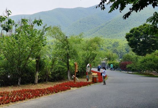 你知道竹海“美容师”吗？她拥有宜兴竹海的最美背影