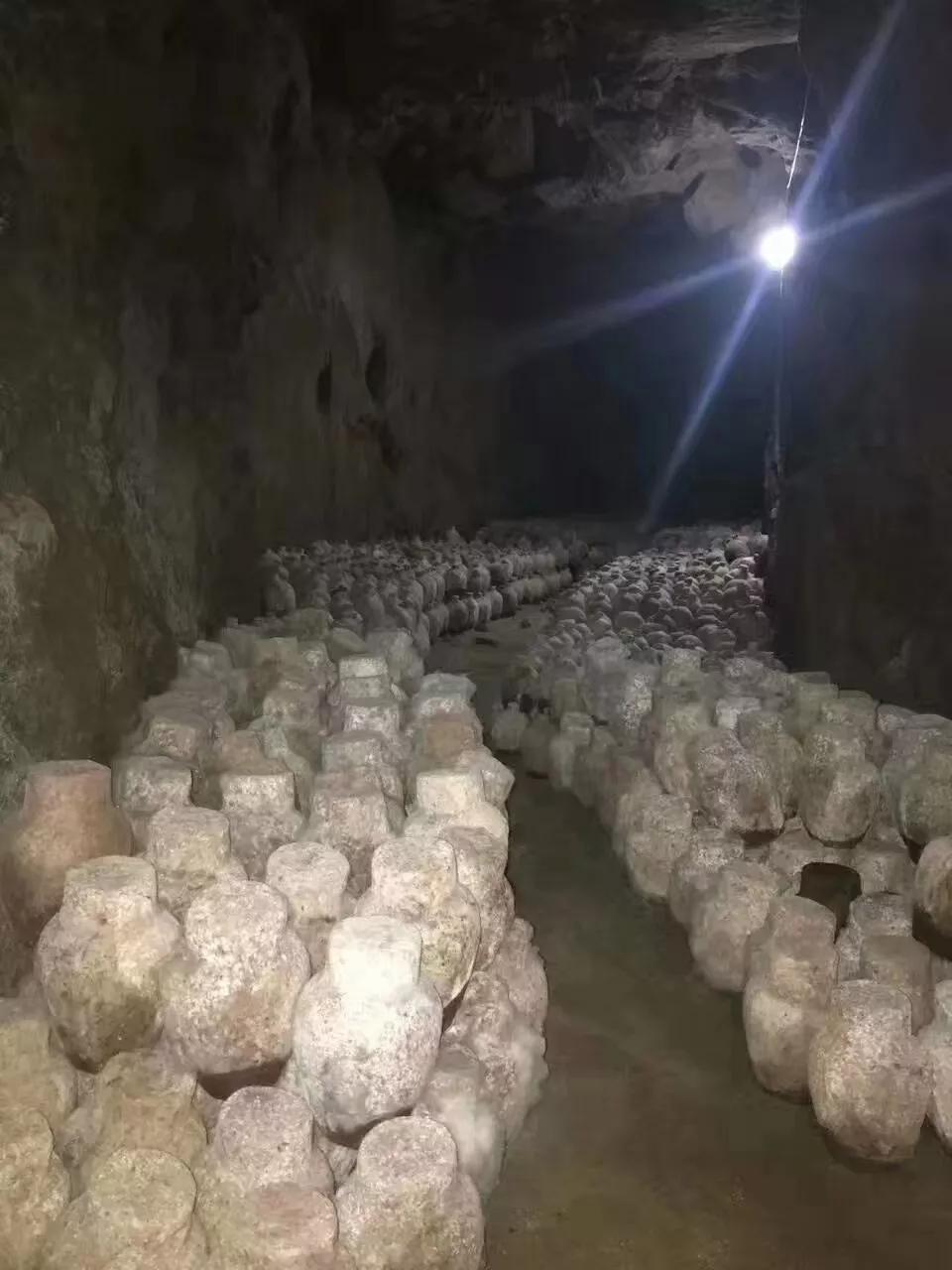 坑爹白酒之【洞藏老酒】