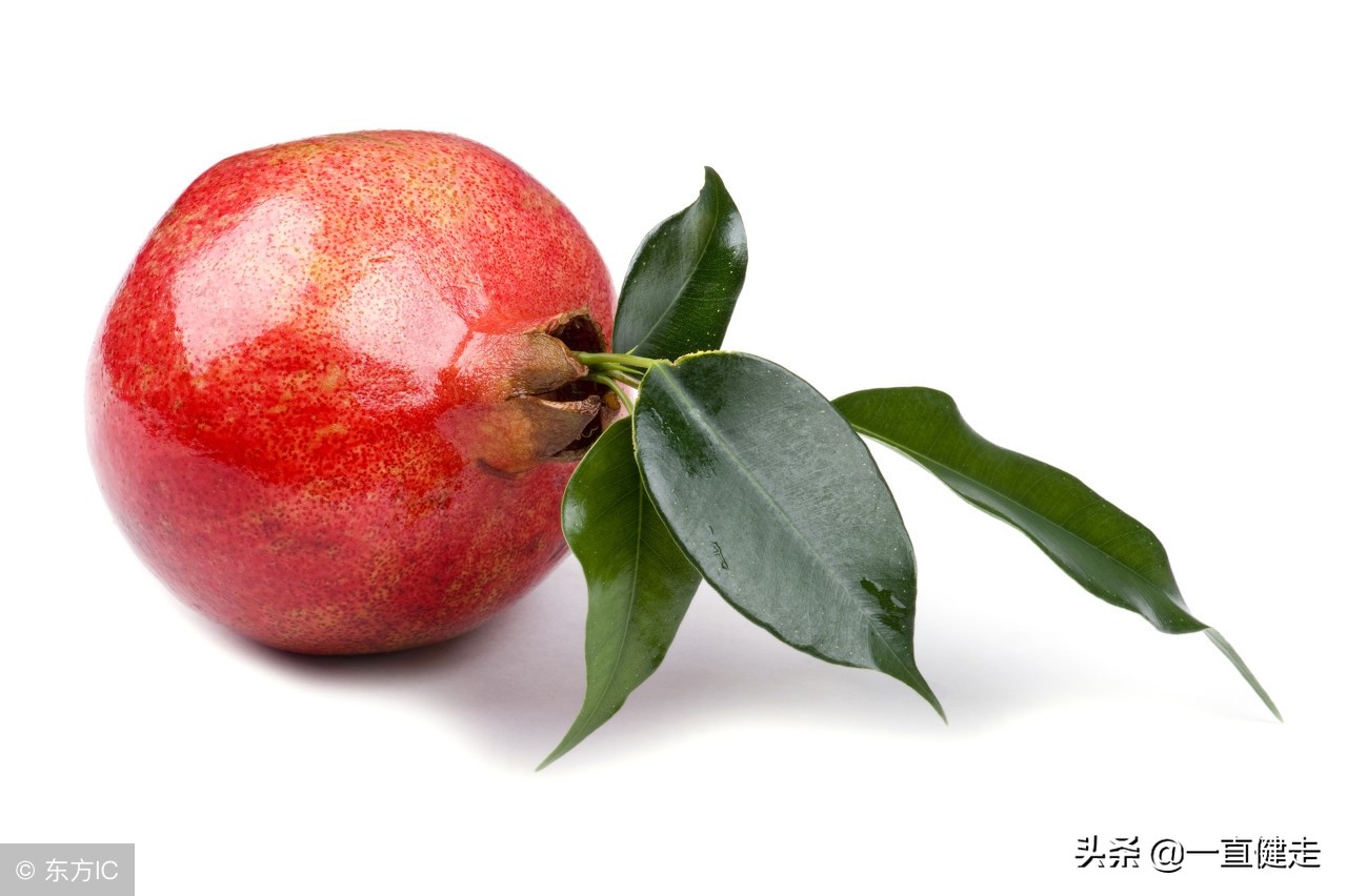 菜根谭作者洪应明简介,洪应明菜根谭全文及译文