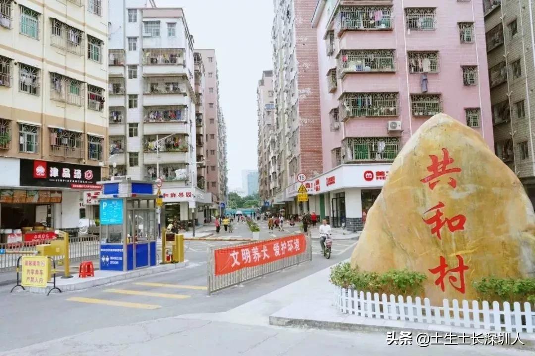 龙华有哪些街道,龙华村的由来