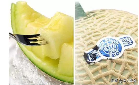 海阳网纹瓜和静冈蜜瓜,新疆网纹蜜瓜描述