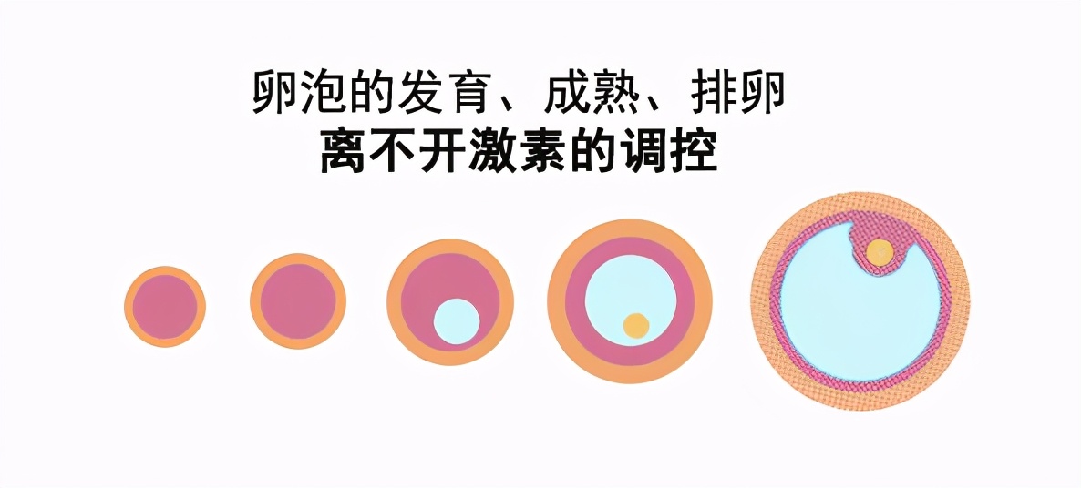 多囊卵巢不治疗也能怀孕吗?