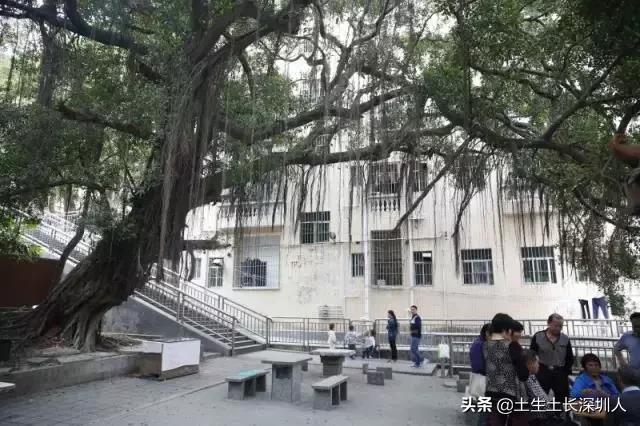 梅林民乐村,梅林关口民乐花园