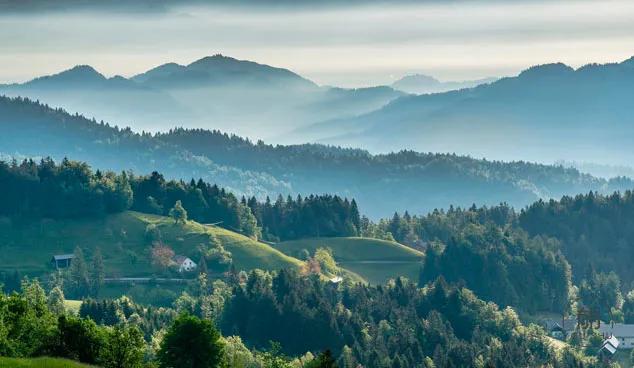 钓鱼的启示读后感600字,钓鱼的启示感悟