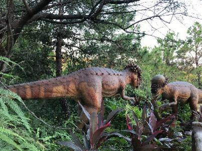 秋风起，乐园欢！东莞新晋游玩地标——隐贤山庄欢乐走起