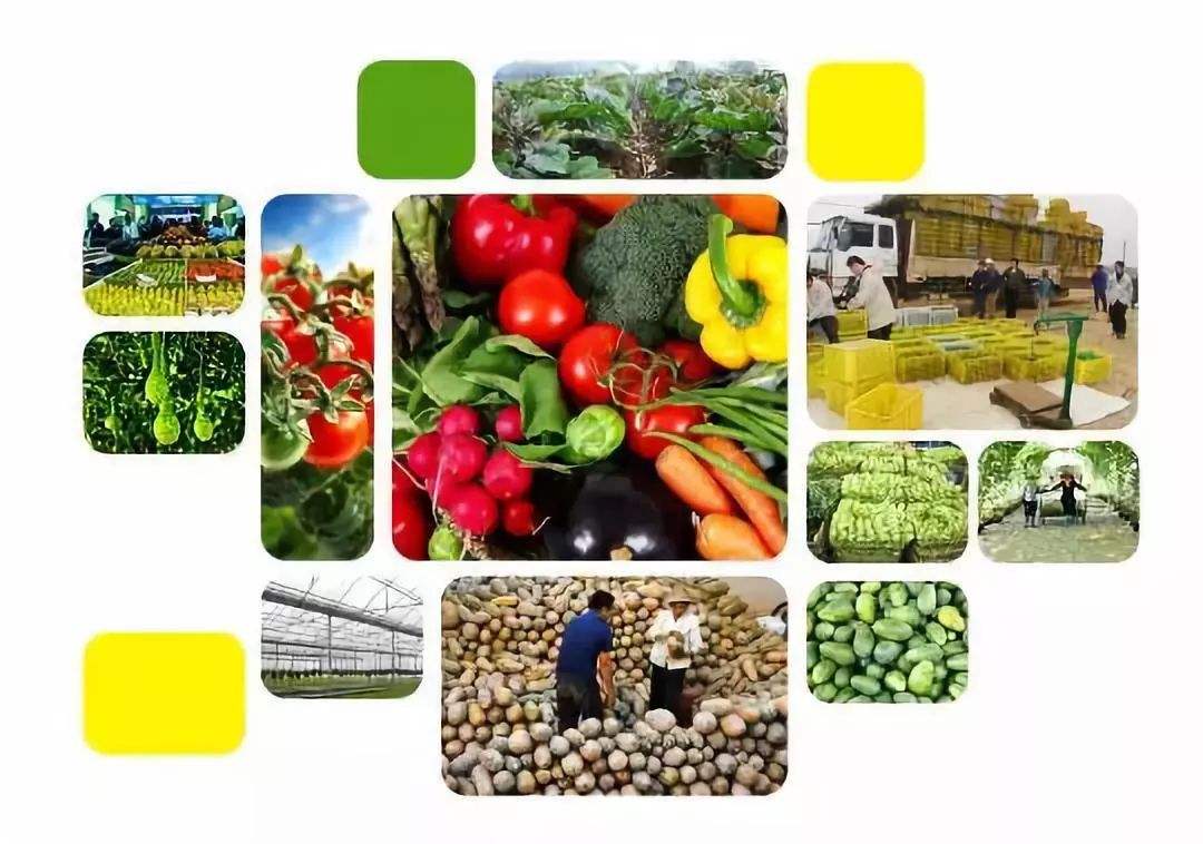 拼多多种咖啡、京东养猪、亚朵卖起了茶,互联网改造了农业什么?