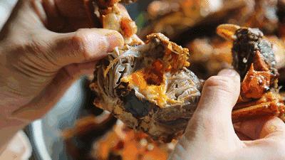 好好的螃蟹，为什么不横着走？来了解一下螃蟹界的“美味”成员