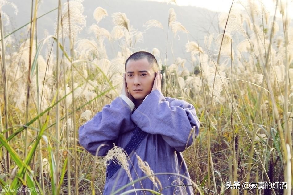 天龙八部段誉鸠摩智搞笑片段,天龙八部虚竹鸠摩智搞笑片段