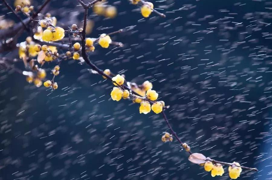 花笺记在线阅读,花笺记翻唱