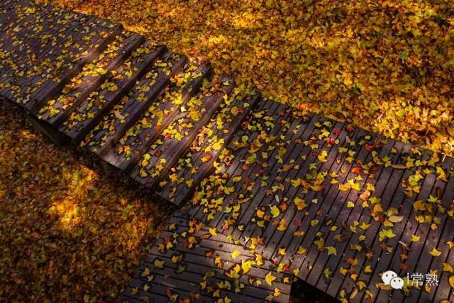 一入秋西安就美成长安,一入秋杭州就美成临安