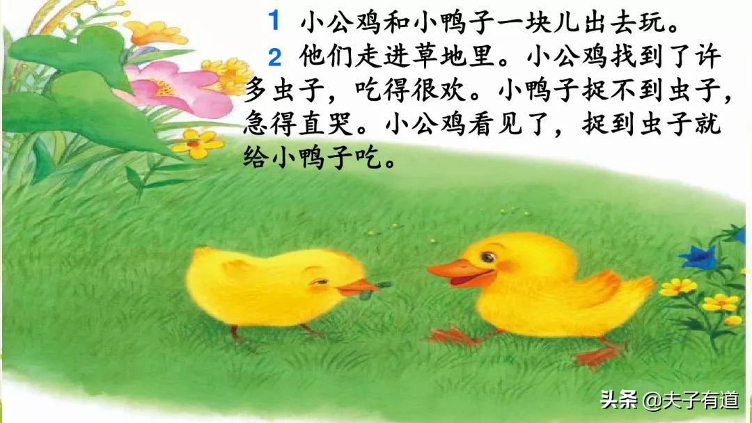 一年级下小公鸡和小鸭子看图写话,一年级下册小公鸡和小鸭子第五课