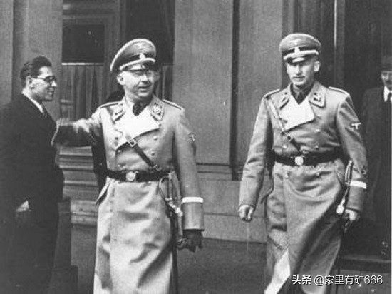 德意志黑王子,纳粹德国黑王子