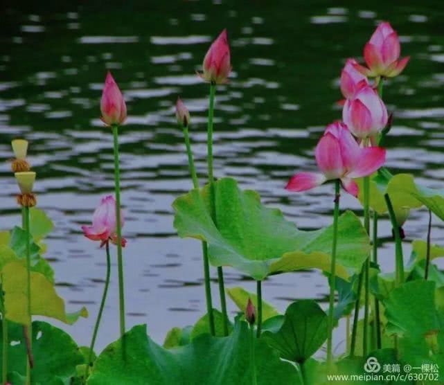 西乡周边景色美的地方,西乡哪里有夜景好看的