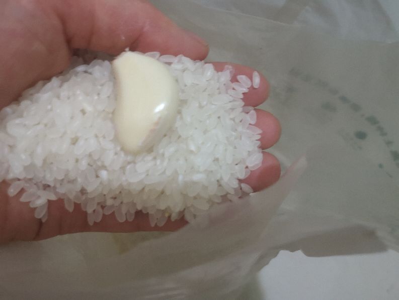 大米的米虫子怎么去除,大米有蛀米虫怎么办