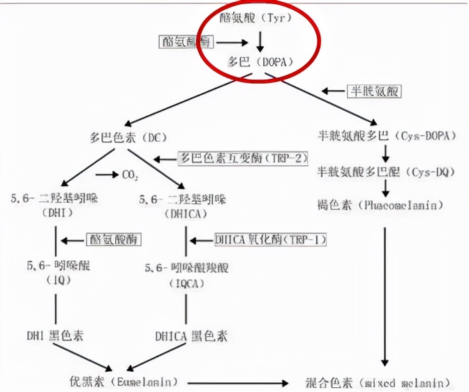 誓颜永恒：男士面部肤色偏黑，怎么美白？用什么产品好？