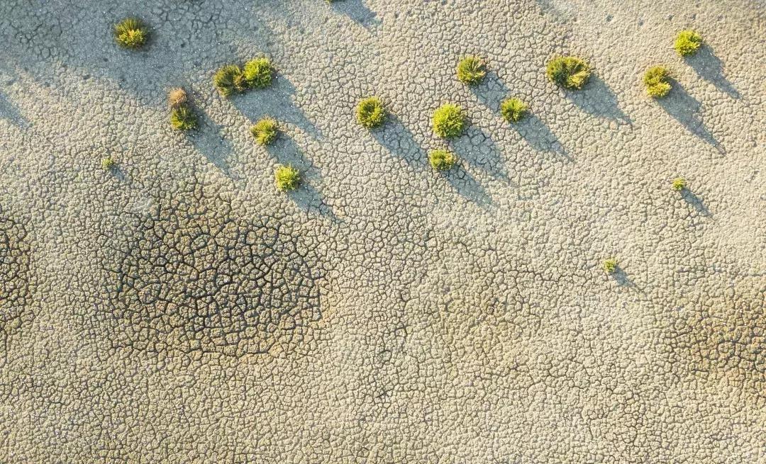 当人很累的时候怎么缓解,疲惫的生活也需要适当的放松