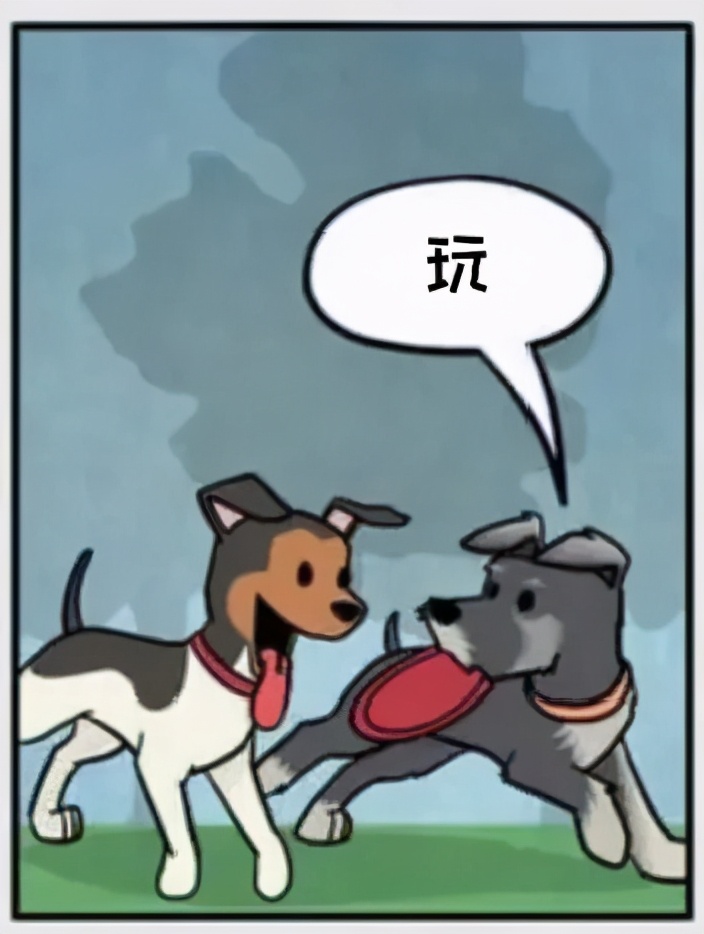 铲屎官和狗子的漫画,铲屎官和狗子们漫画