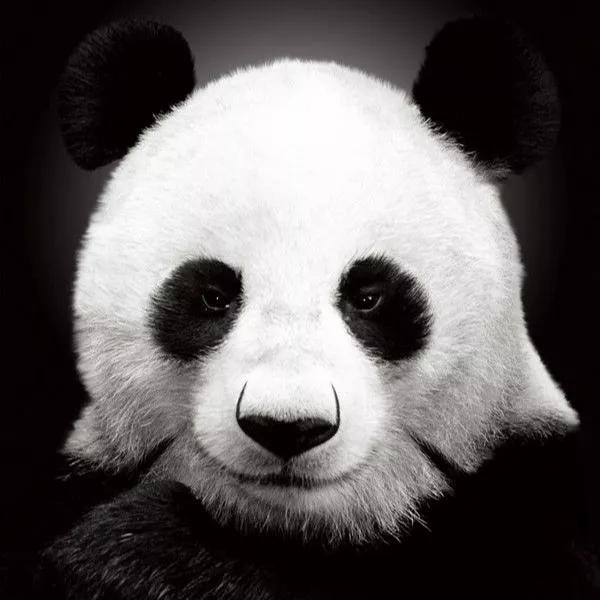 关于这个神仙成分，你不能不知道的秘密