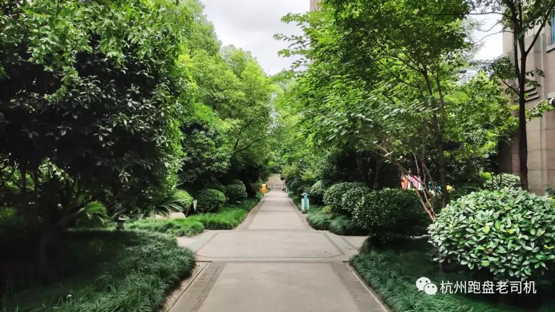 350万安家滨江，有地铁、有学区，这个地方的二手房你不应错过