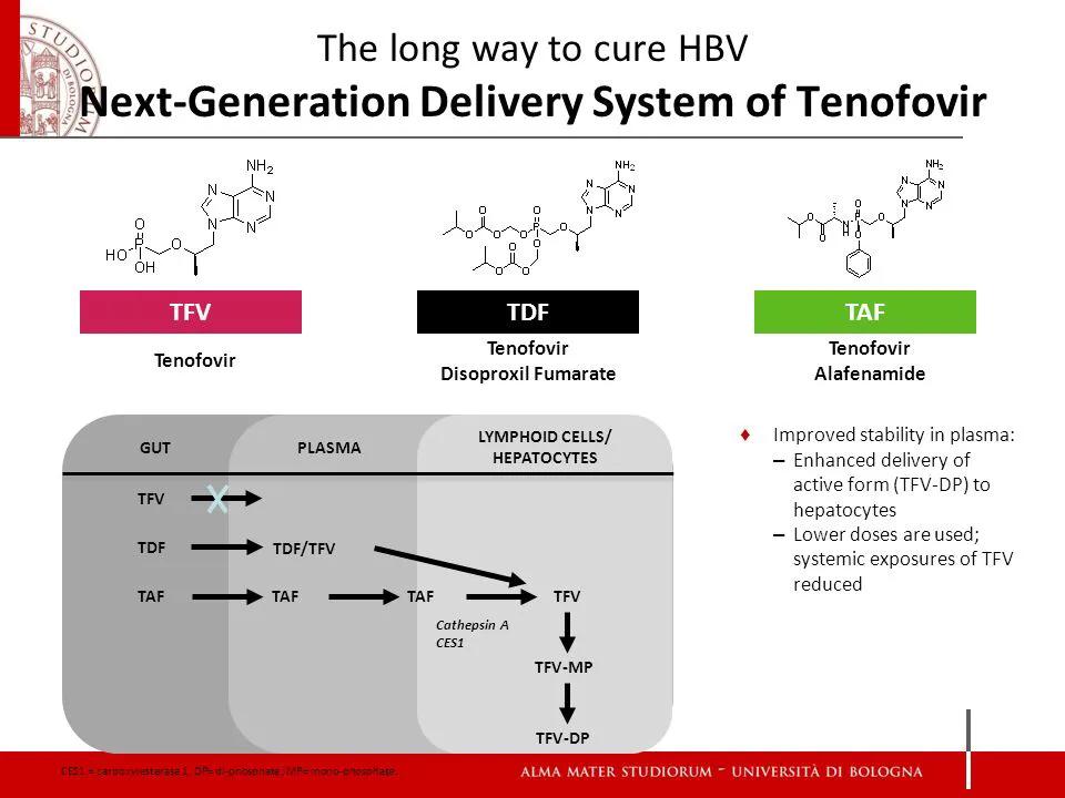 肾功能不好用什么抗乙肝病毒,肾功能不好乙肝抗病毒用哪种药