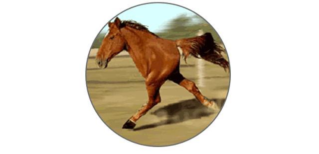 西安是很奇妙的一座城市,一座拥有历史文化的城市西安