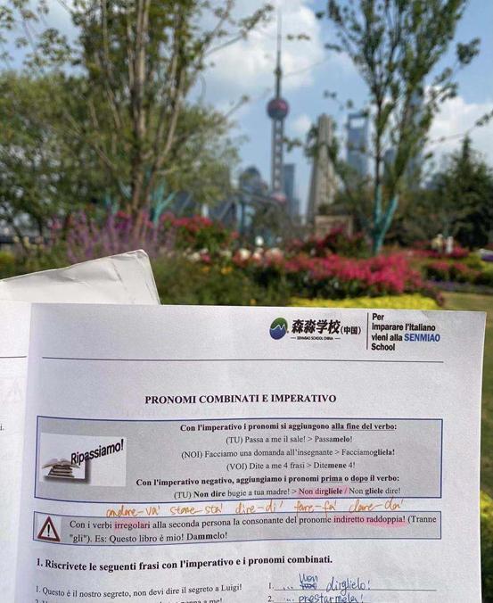 如何才能更有效的学习意大利语,学意大利语先学什么好