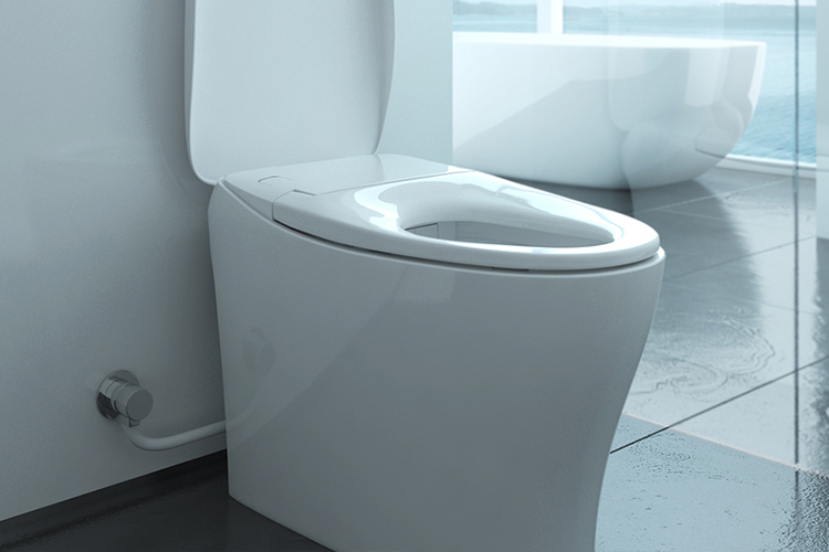 一个智能马桶一个轻智能马桶,一个智能马桶有啥用