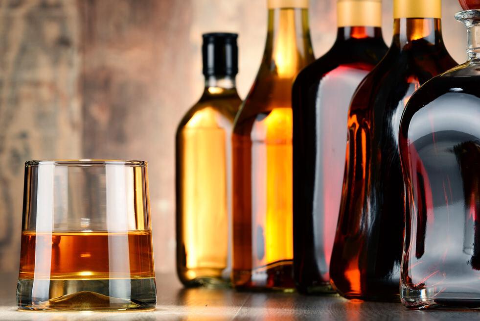 别再给猫咪喂食“这些食物”了,一不小心,命都没了