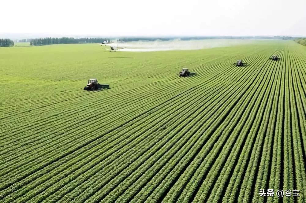 化肥为什么被称为“土地*片鸦**”?农民都好好看看吧