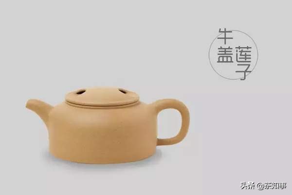 紫砂壶型的种类名称大全图解,紫砂壶各种壶型对应泡什么茶